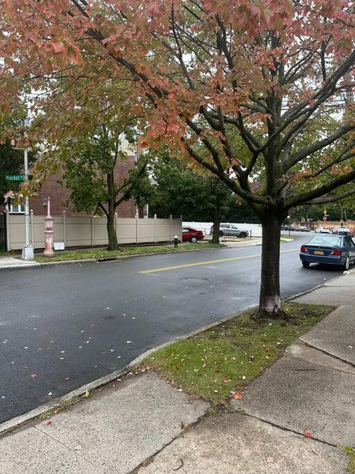 Morris Park Area Daire New York Dış mekan fotoğraf